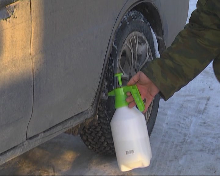 В Счастье задержали водителя перевозившего свиней без разрешающих документов 